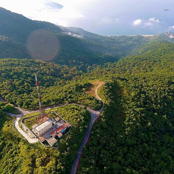 Đỉnh Sơn Trà sớm mai